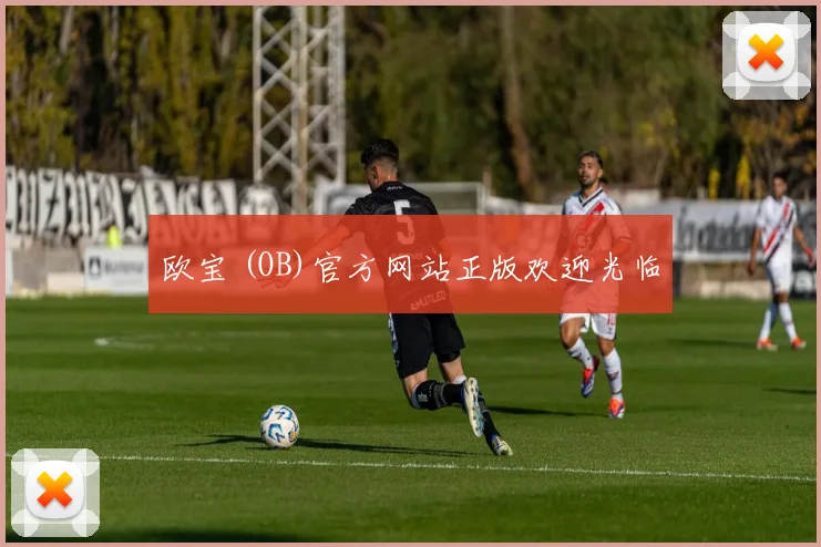欧宝 (OB)官方网站正版欢迎光临