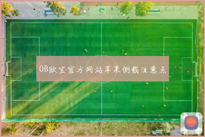 OB欧宝官方网站苹果侧载注意点