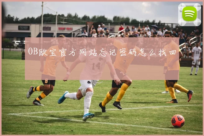 OB欧宝官方网站忘记密码怎么找回